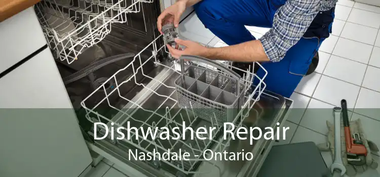 Dishwasher Repair Nashdale - Ontario