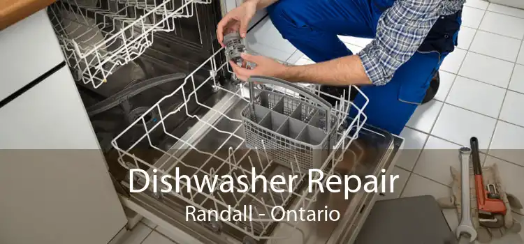 Dishwasher Repair Randall - Ontario
