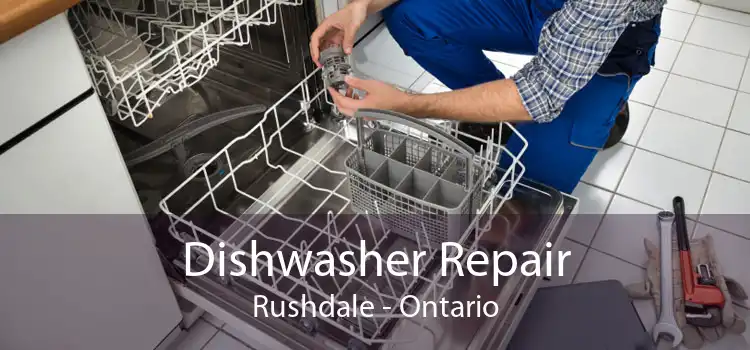 Dishwasher Repair Rushdale - Ontario