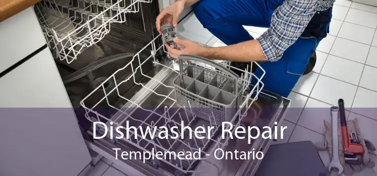 Dishwasher Repair Templemead - Ontario