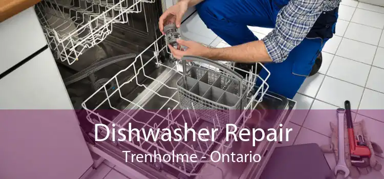 Dishwasher Repair Trenholme - Ontario