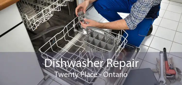 Dishwasher Repair Twenty Place - Ontario