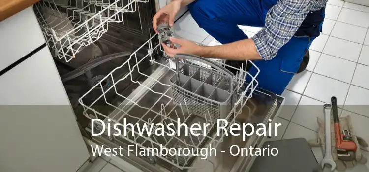 Dishwasher Repair West Flamborough - Ontario