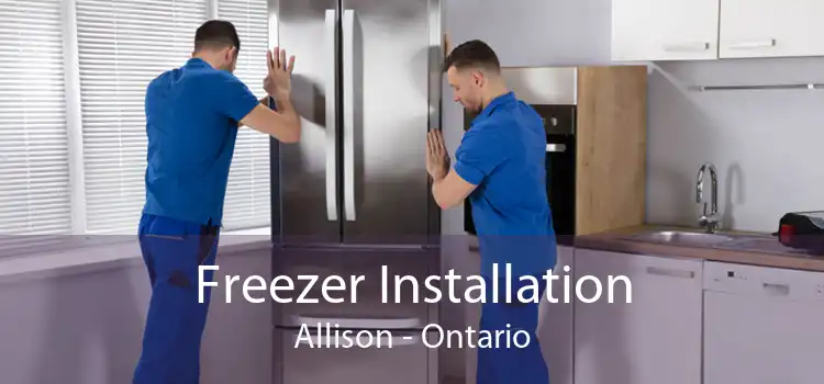 Freezer Installation Allison - Ontario