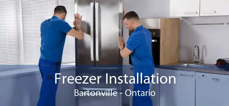 Freezer Installation Bartonville - Ontario