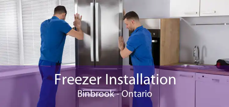 Freezer Installation Binbrook - Ontario