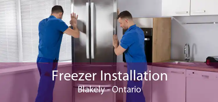 Freezer Installation Blakely - Ontario