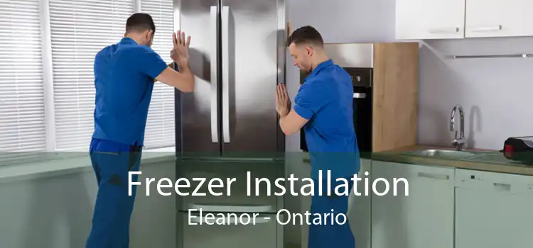 Freezer Installation Eleanor - Ontario