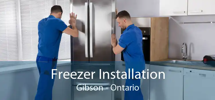 Freezer Installation Gibson - Ontario