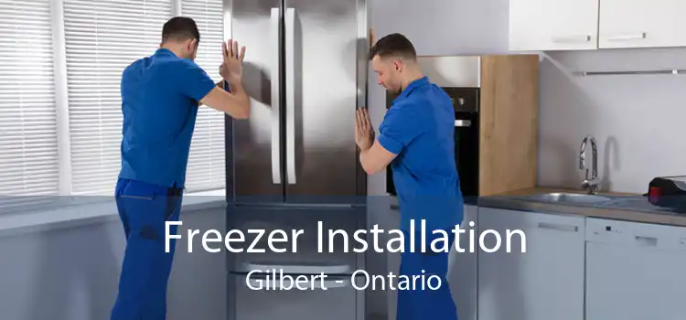 Freezer Installation Gilbert - Ontario