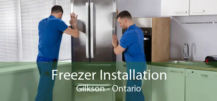 Freezer Installation Gilkson - Ontario