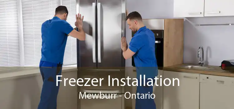 Freezer Installation Mewburr - Ontario
