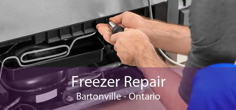 Freezer Repair Bartonville - Ontario
