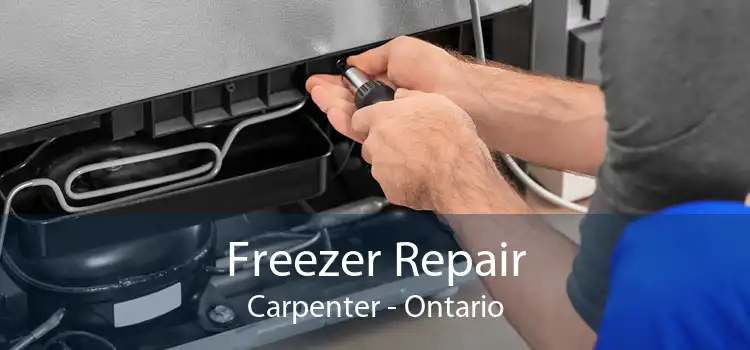 Freezer Repair Carpenter - Ontario