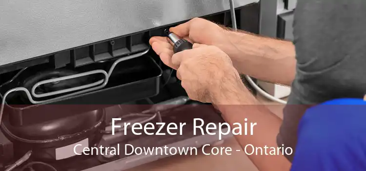 Freezer Repair Central Downtown Core - Ontario
