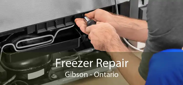 Freezer Repair Gibson - Ontario
