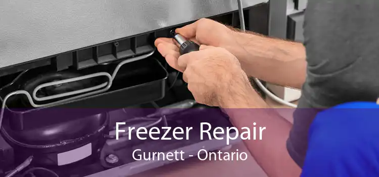 Freezer Repair Gurnett - Ontario
