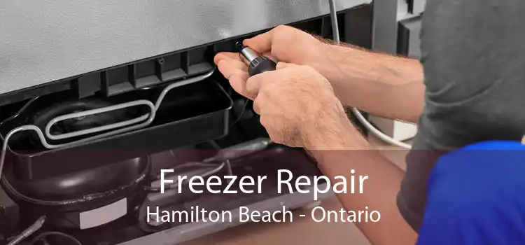 Freezer Repair Hamilton Beach - Ontario