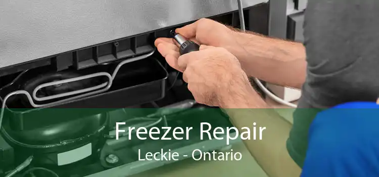 Freezer Repair Leckie - Ontario