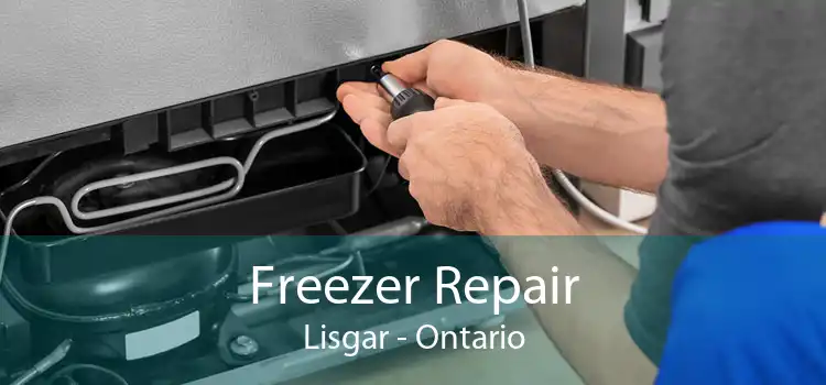 Freezer Repair Lisgar - Ontario