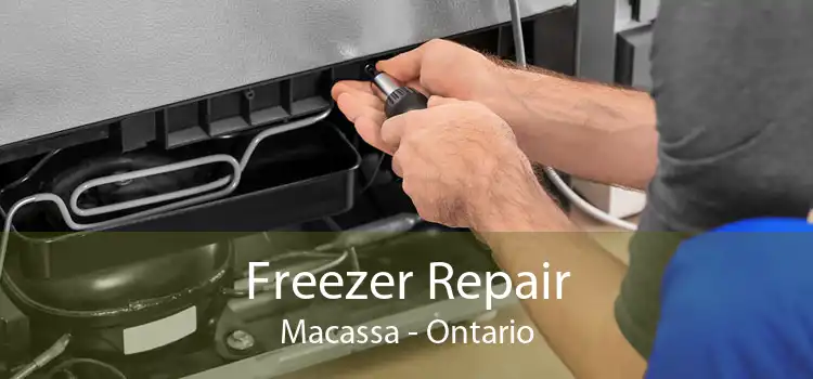Freezer Repair Macassa - Ontario