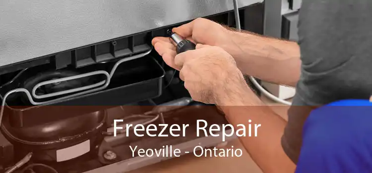Freezer Repair Yeoville - Ontario