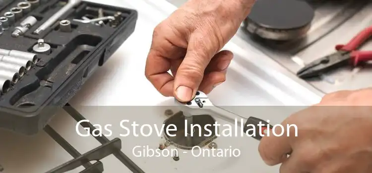 Gas Stove Installation Gibson - Ontario