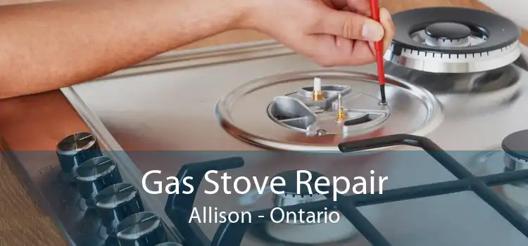 Gas Stove Repair Allison - Ontario