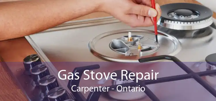 Gas Stove Repair Carpenter - Ontario