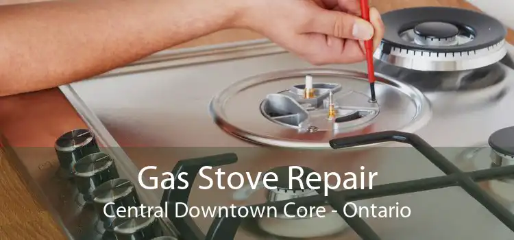 Gas Stove Repair Central Downtown Core - Ontario