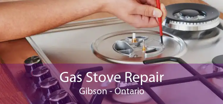 Gas Stove Repair Gibson - Ontario