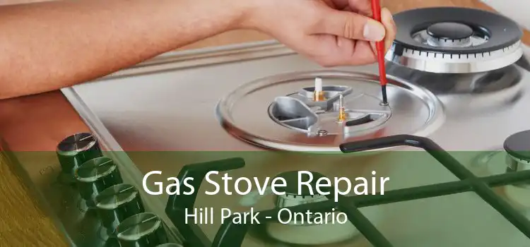 Gas Stove Repair Hill Park - Ontario
