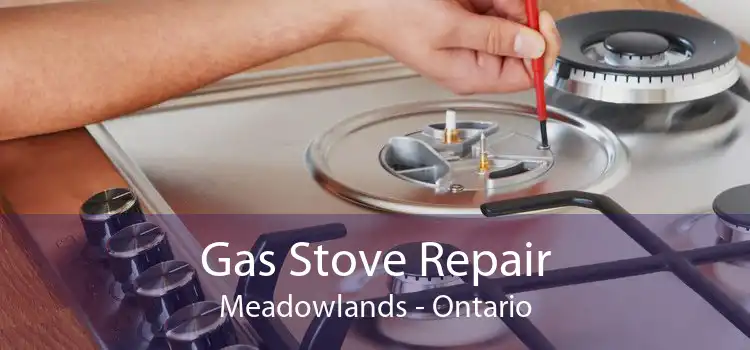 Gas Stove Repair Meadowlands - Ontario