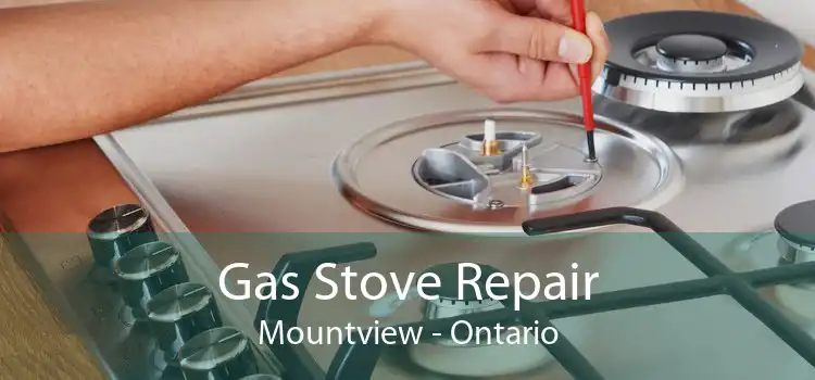 Gas Stove Repair Mountview - Ontario