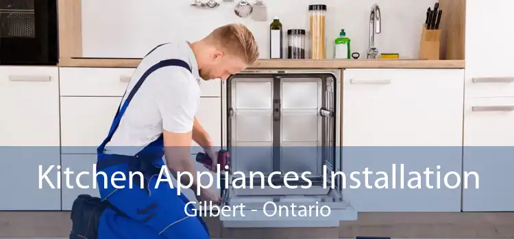 Kitchen Appliances Installation Gilbert - Ontario