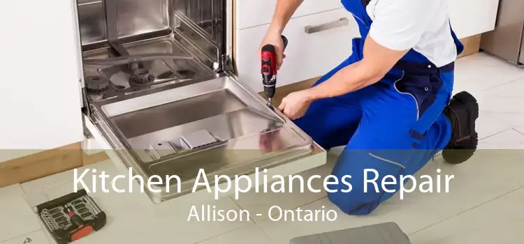 Kitchen Appliances Repair Allison - Ontario