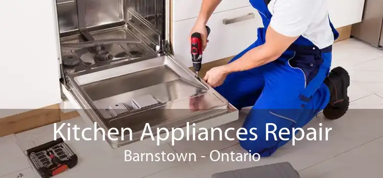 Kitchen Appliances Repair Barnstown - Ontario