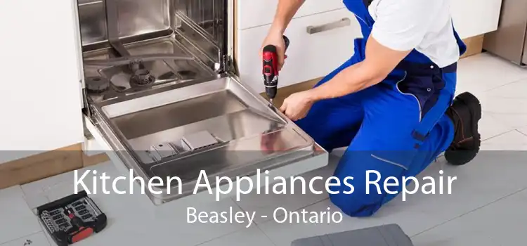 Kitchen Appliances Repair Beasley - Ontario