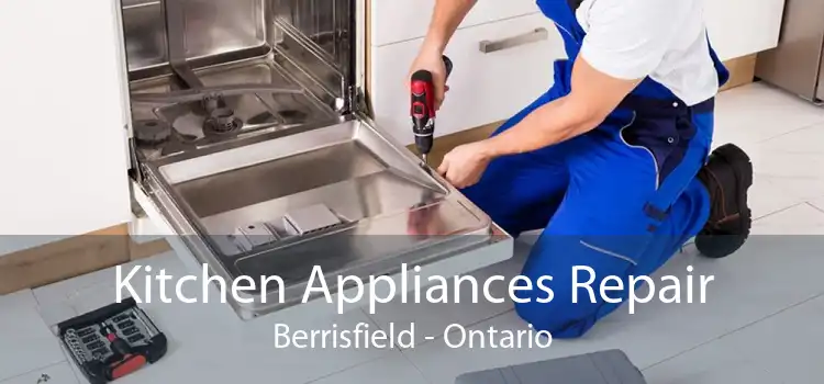 Kitchen Appliances Repair Berrisfield - Ontario