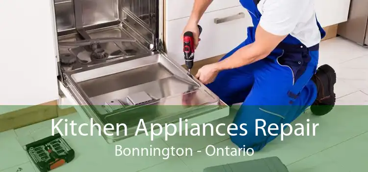 Kitchen Appliances Repair Bonnington - Ontario
