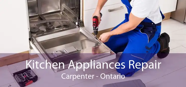 Kitchen Appliances Repair Carpenter - Ontario