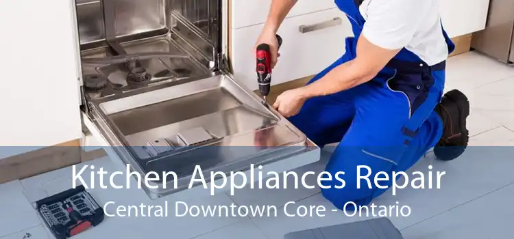 Kitchen Appliances Repair Central Downtown Core - Ontario