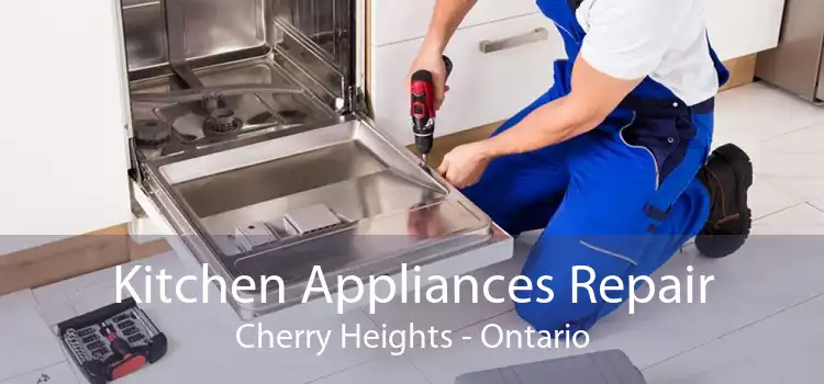 Kitchen Appliances Repair Cherry Heights - Ontario