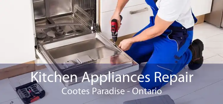 Kitchen Appliances Repair Cootes Paradise - Ontario