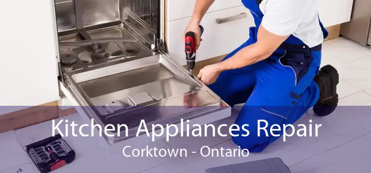 Kitchen Appliances Repair Corktown - Ontario