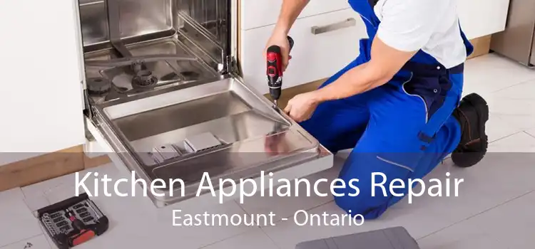 Kitchen Appliances Repair Eastmount - Ontario