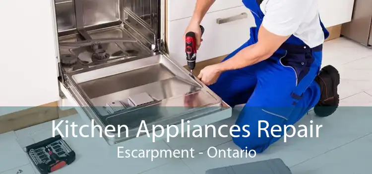 Kitchen Appliances Repair Escarpment - Ontario