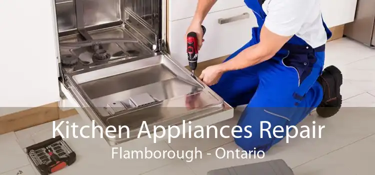 Kitchen Appliances Repair Flamborough - Ontario