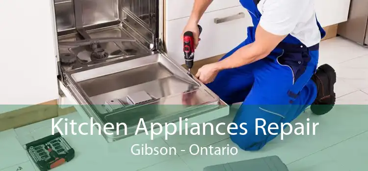 Kitchen Appliances Repair Gibson - Ontario