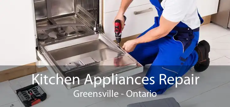 Kitchen Appliances Repair Greensville - Ontario